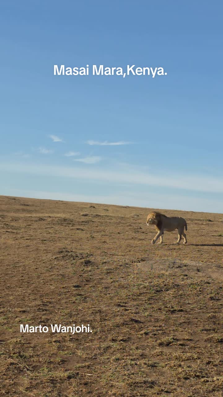 @Safaris with Marto Wanjohi.
