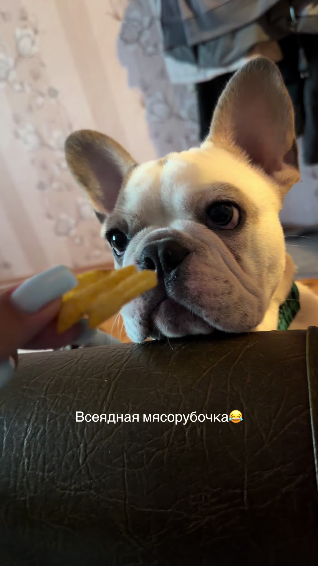 @🎀 Наташик 🎀