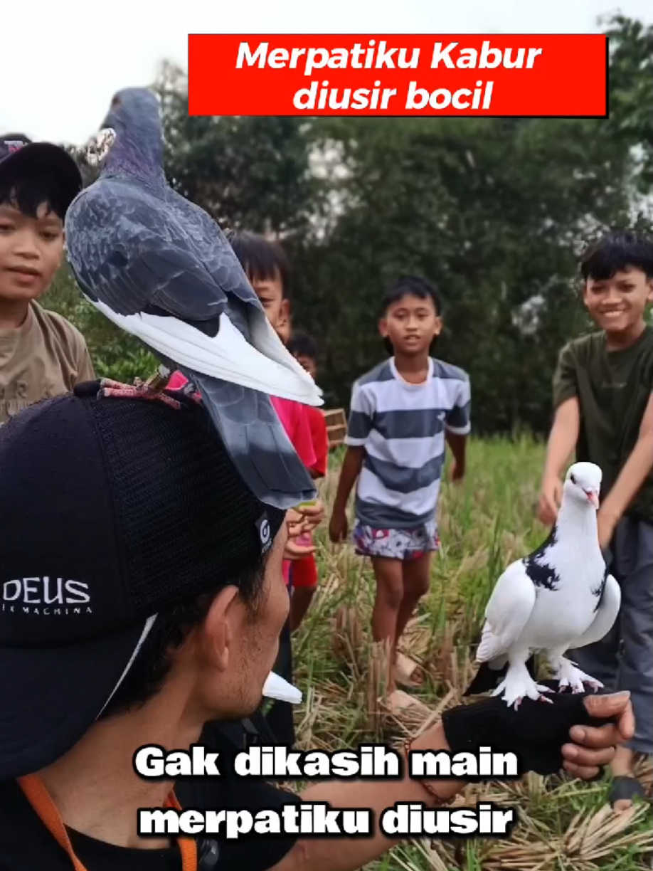 @BANG LEYON