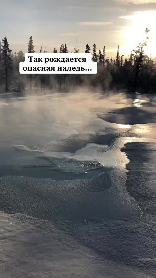 @Aleksandr Elikov