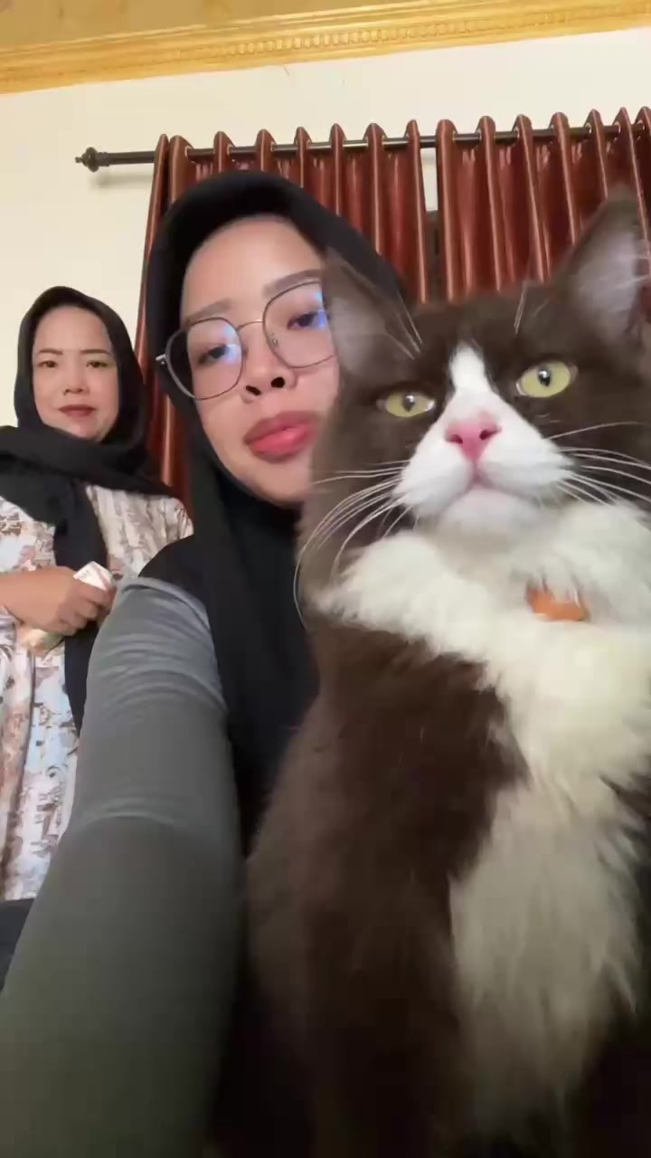 @lika Kurniawan