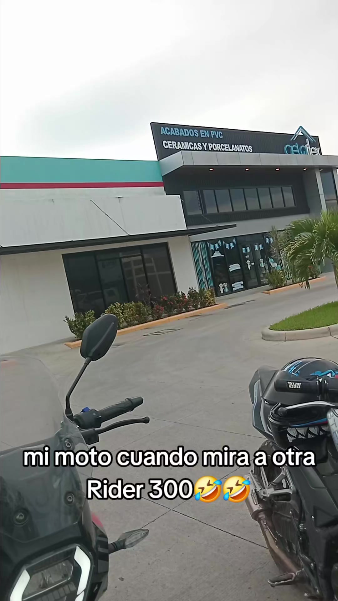 @๐ญโ
el bandido โ
๐ญ13