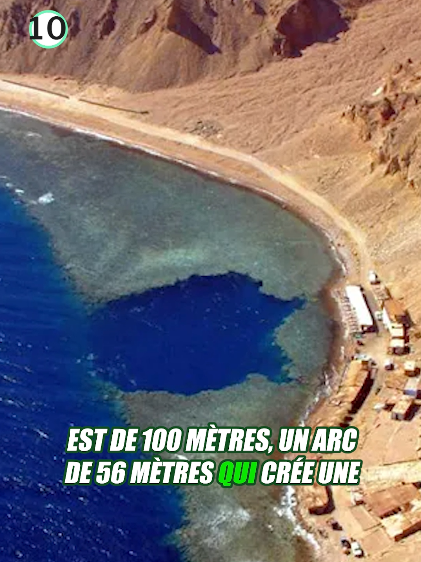 @Vico-Le Savais tu ?