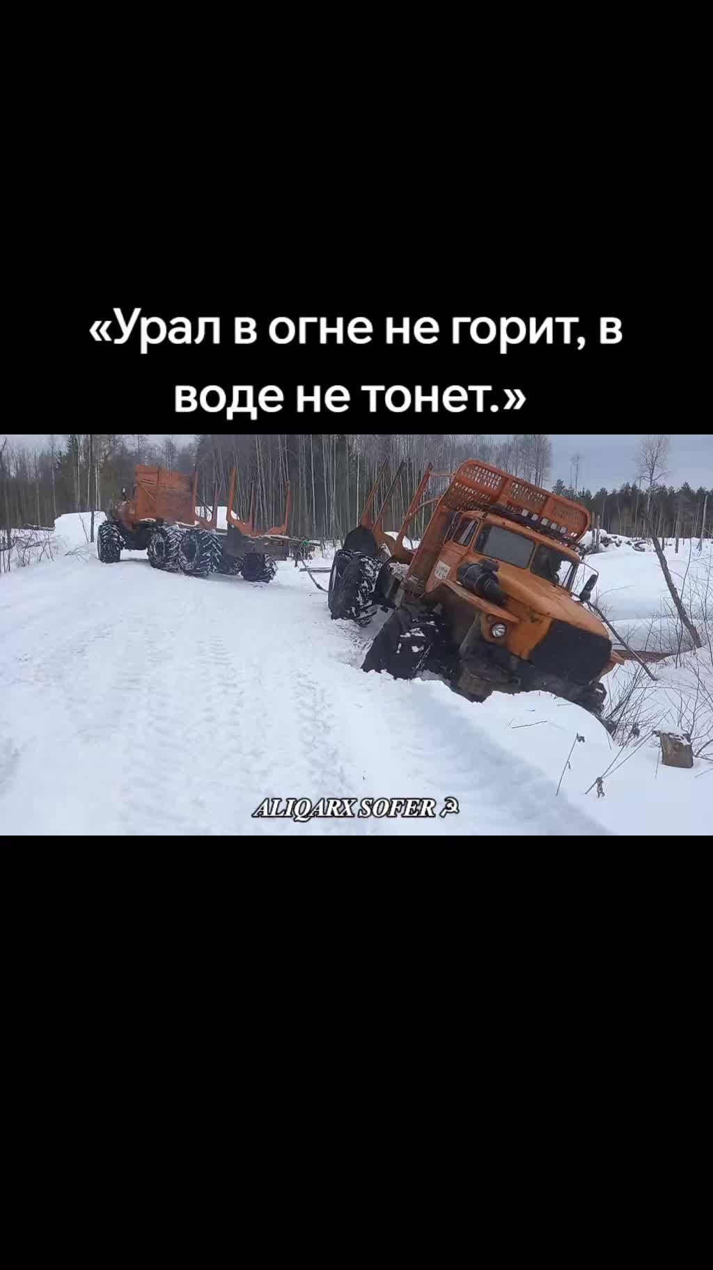 @𝑨𝑳𝑰𝑸𝑨𝑹𝑿 𝑺𝑶𝑭𝑬𝑹 ☭