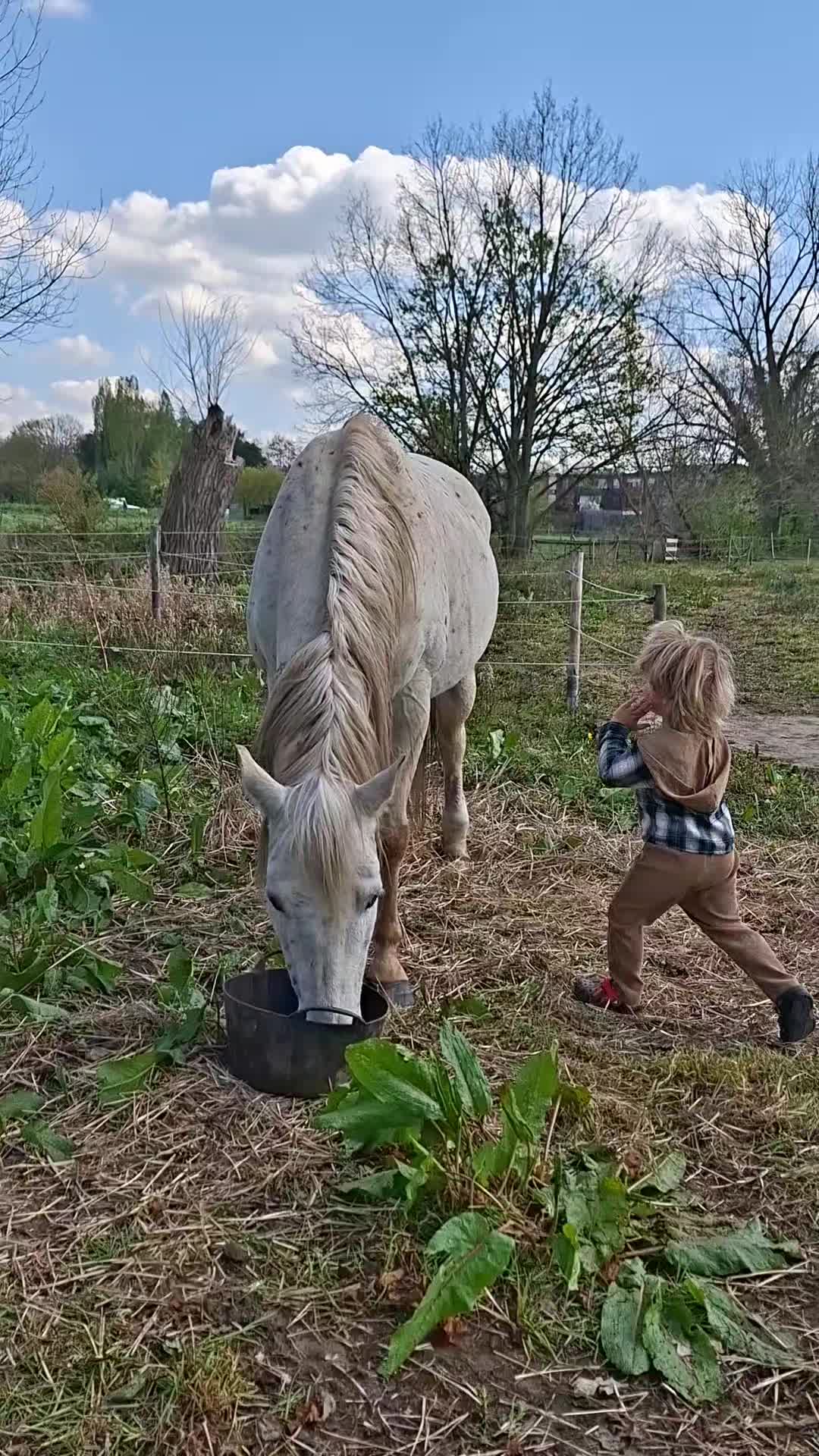 @🌻 ELLE 🌻
