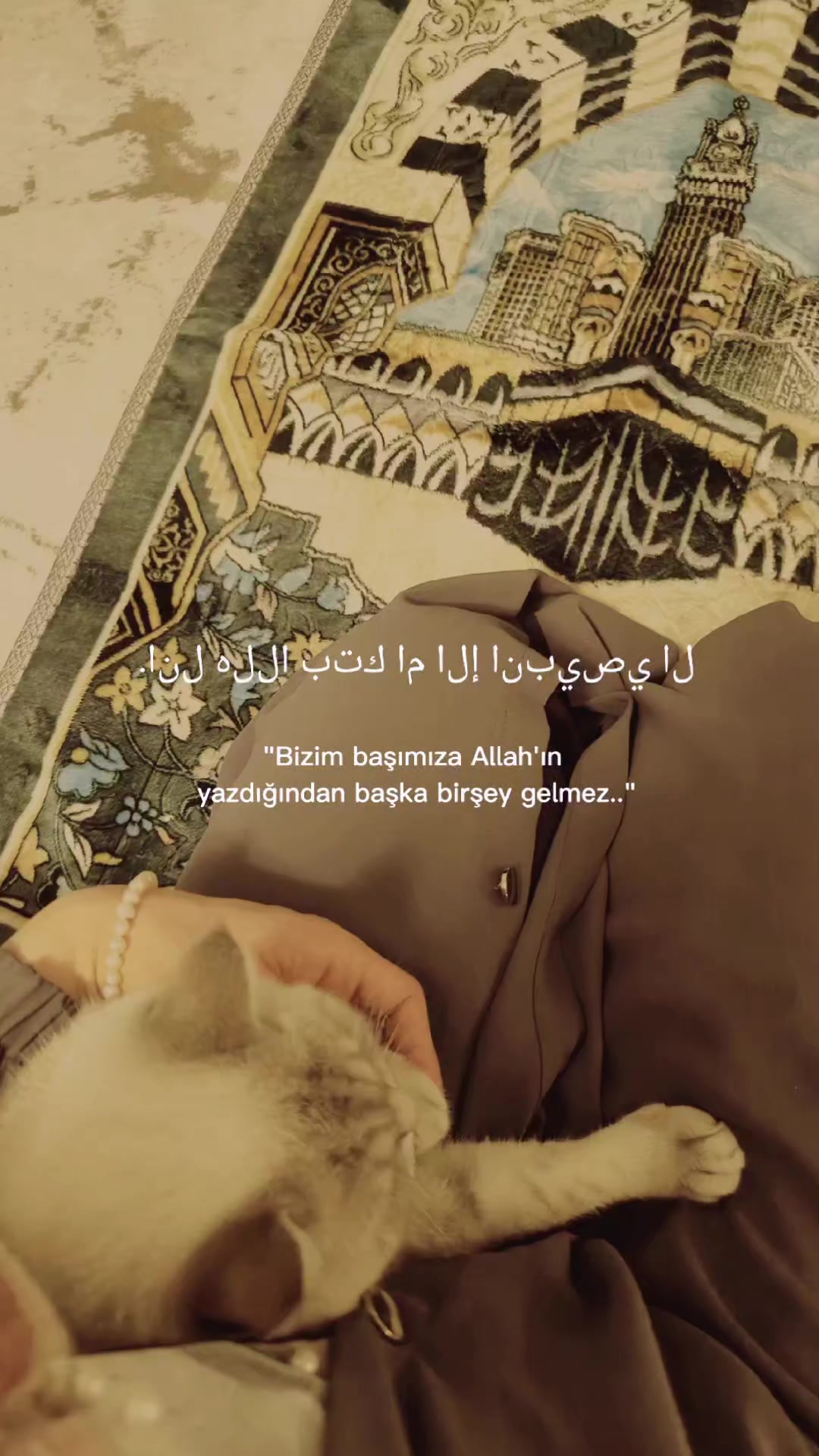 @Rahşan ünr