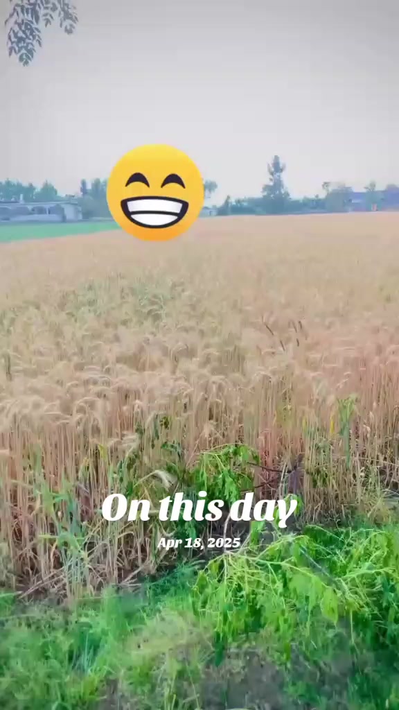 @🦅وسیم خان 🍷
