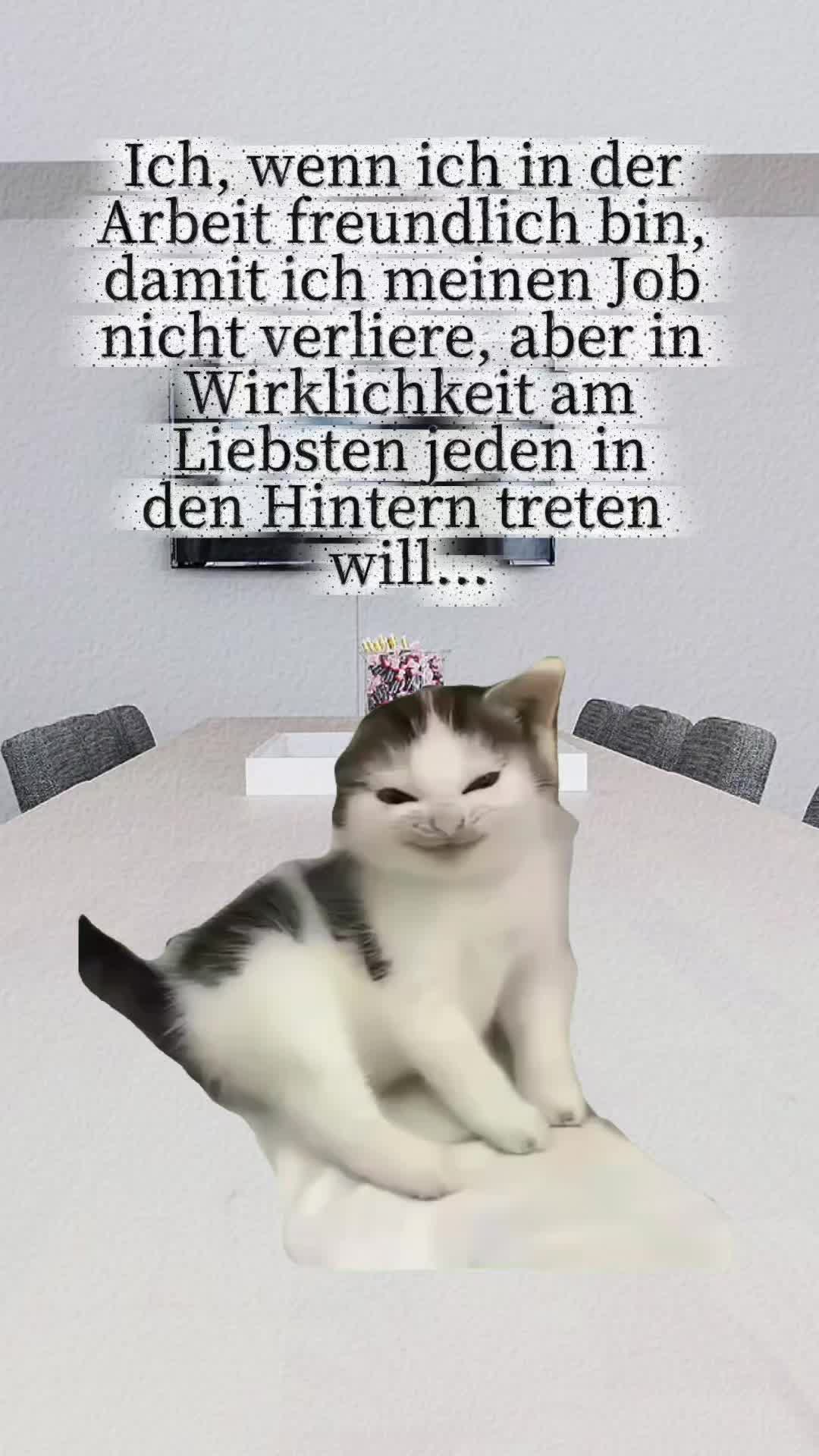 @storfine