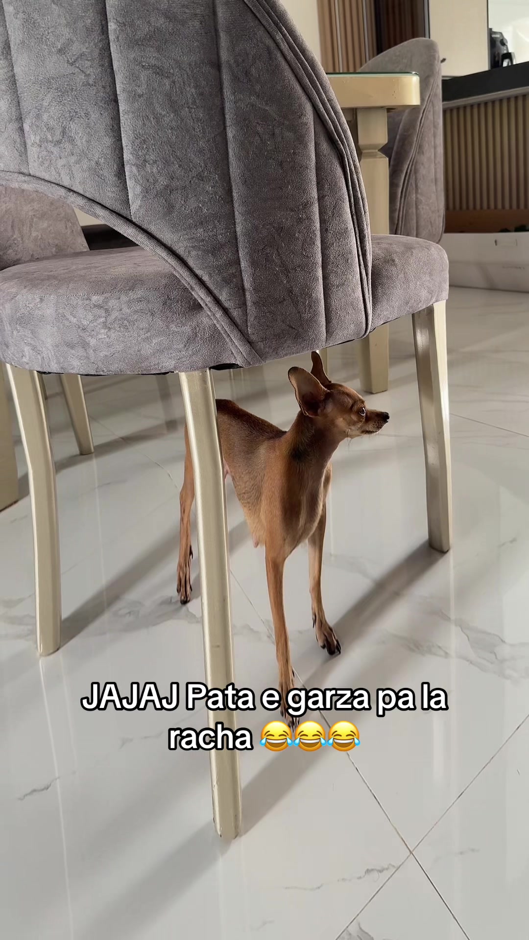 @Irjelis Gonzales
