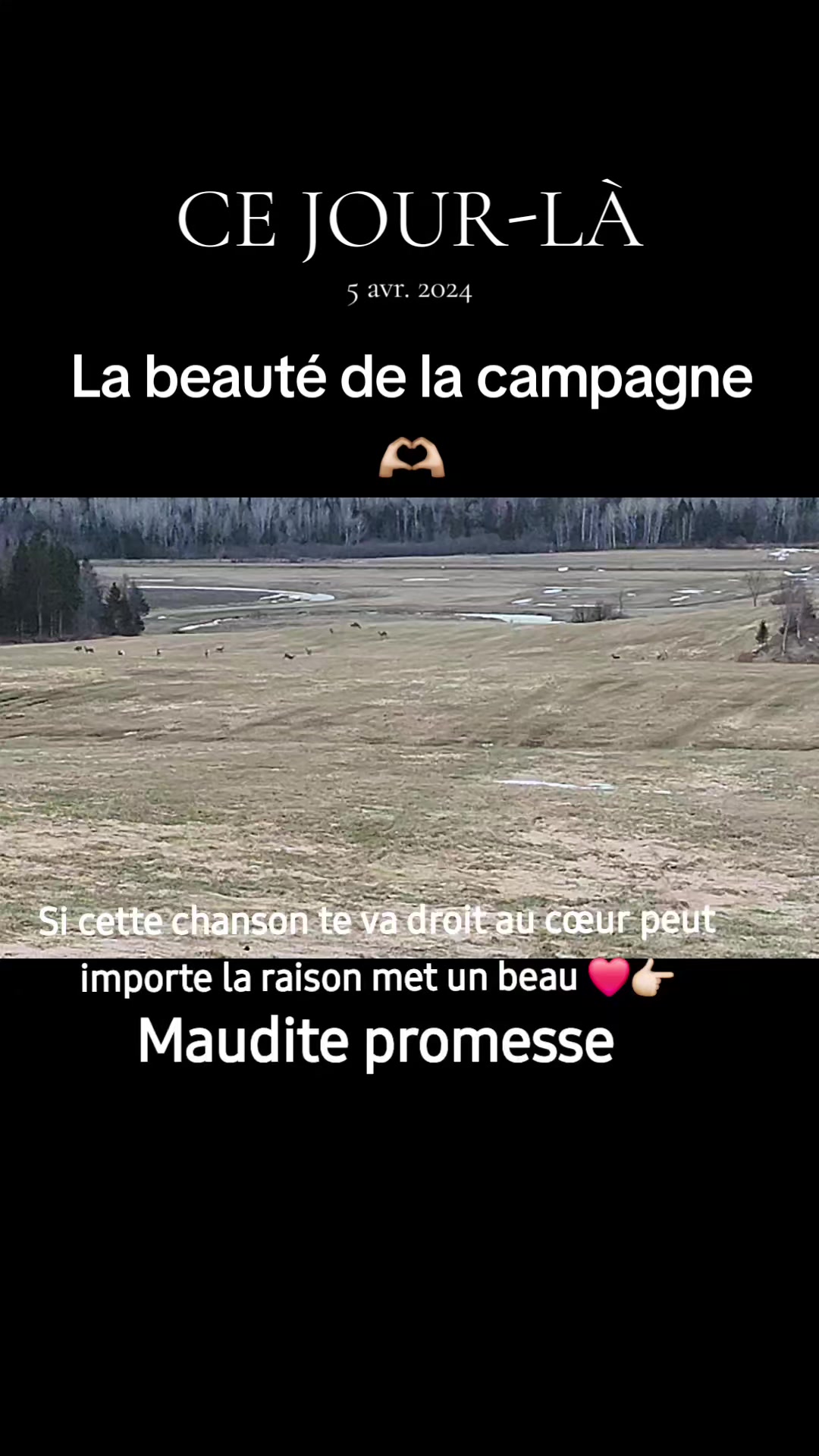 @La Redneck du Qu&eacute;bec 🤠🤟🏻🥰