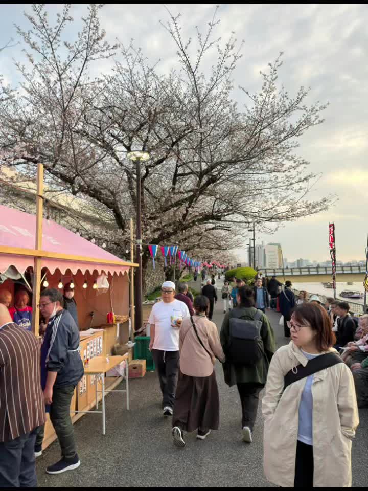 @ハム ロ°クサ 🇯🇵