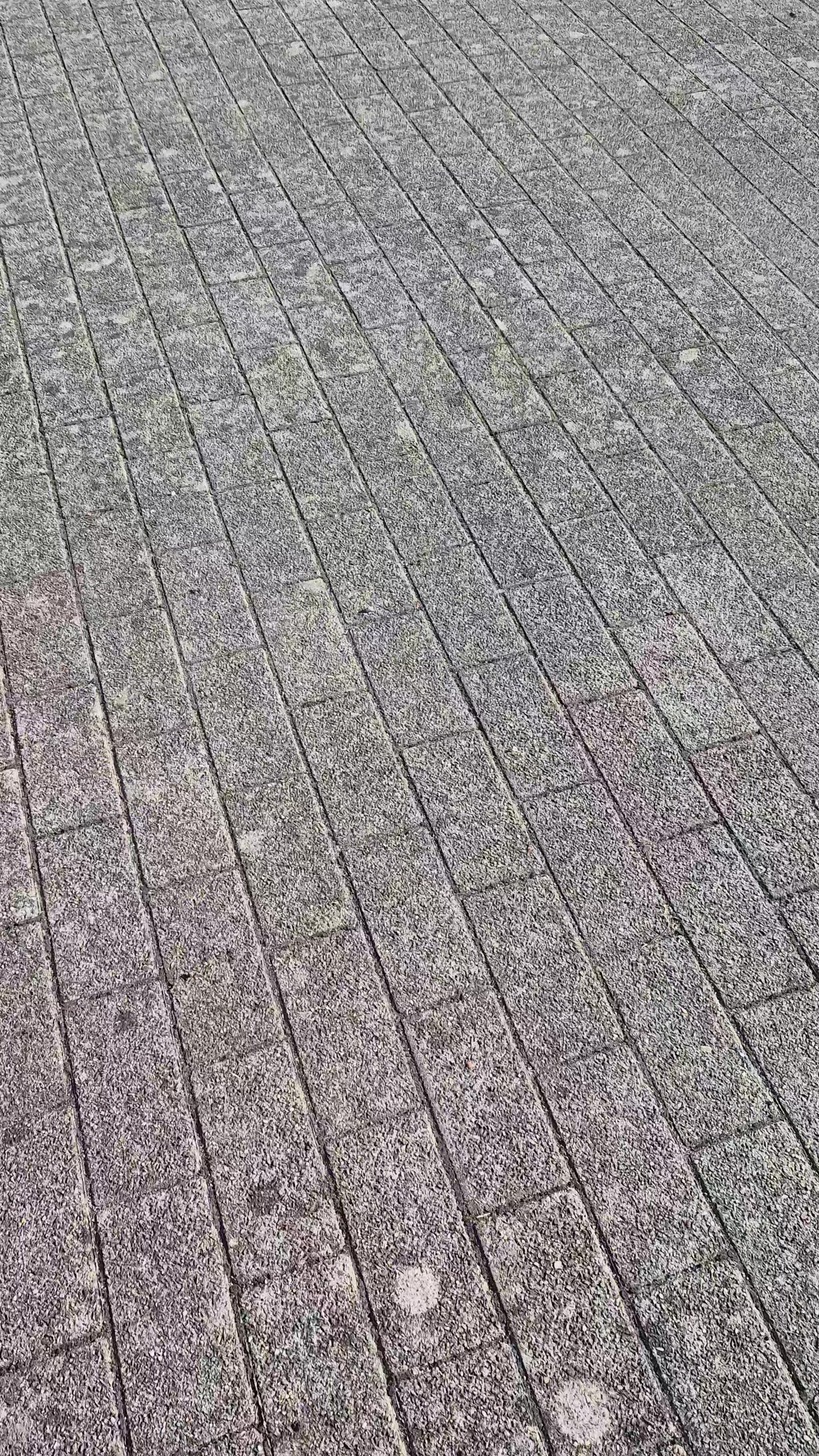 @Flo.m4rs