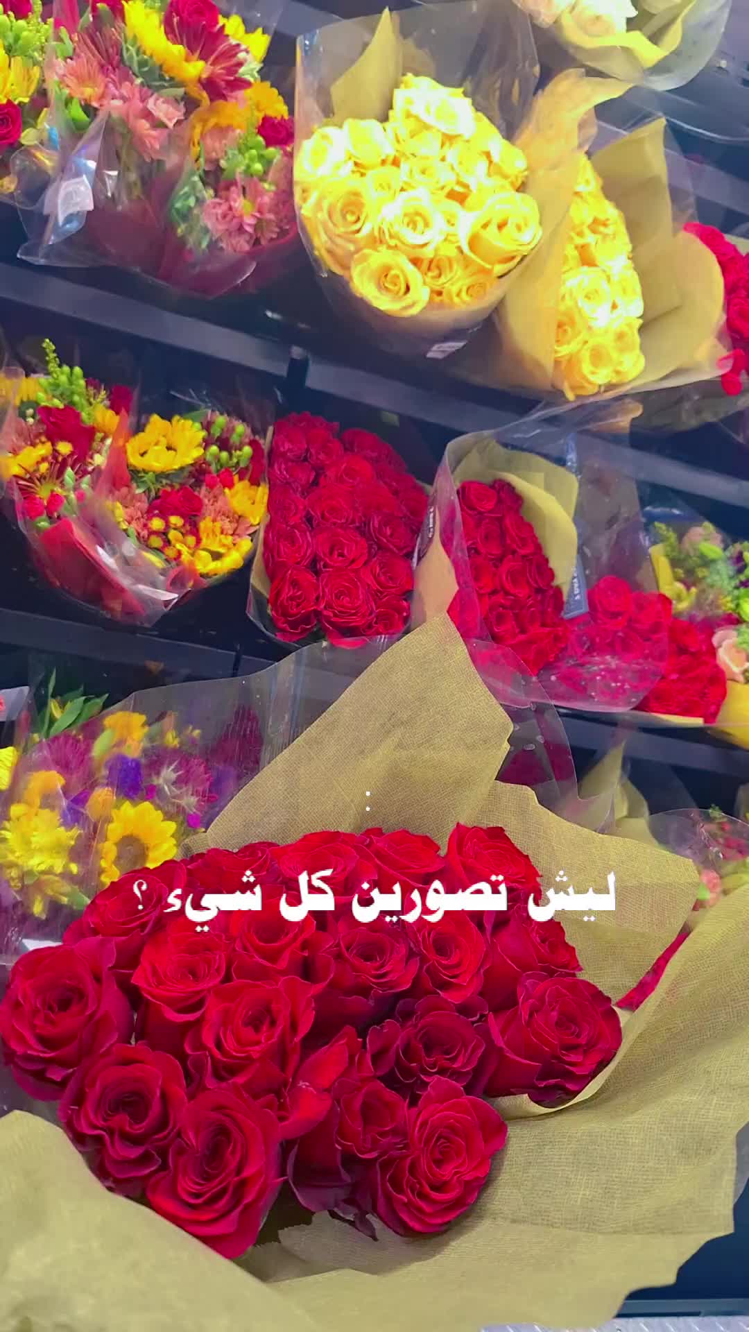 @sam1995
