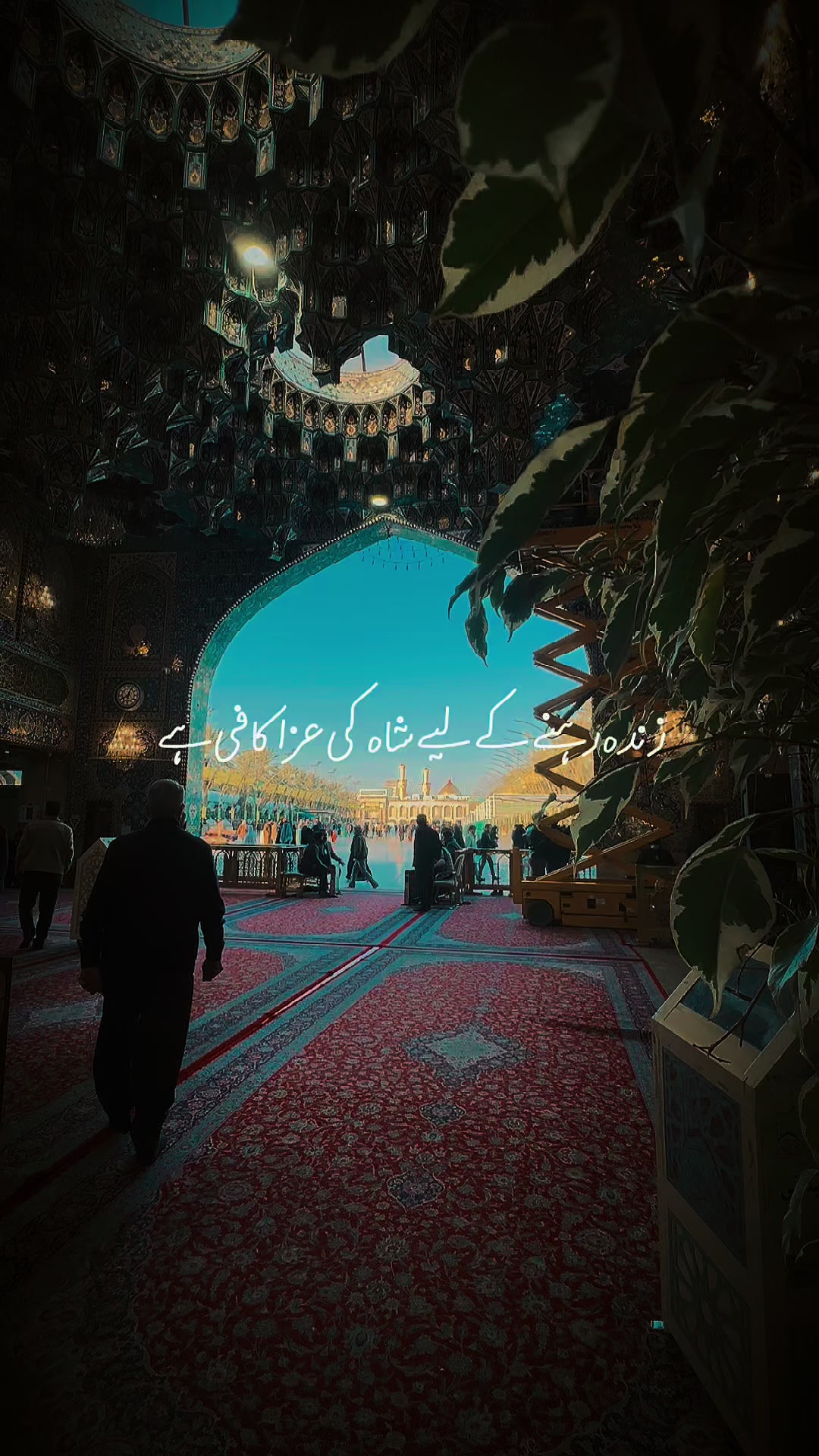 @Shia Facts ۱۱۰ 💫