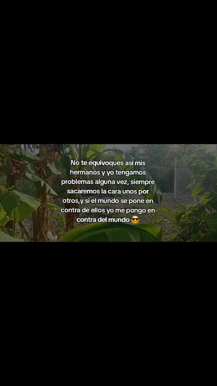 @luz Areli