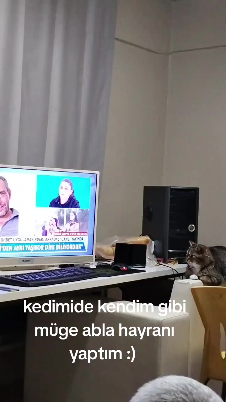 @Mavi Tektaş