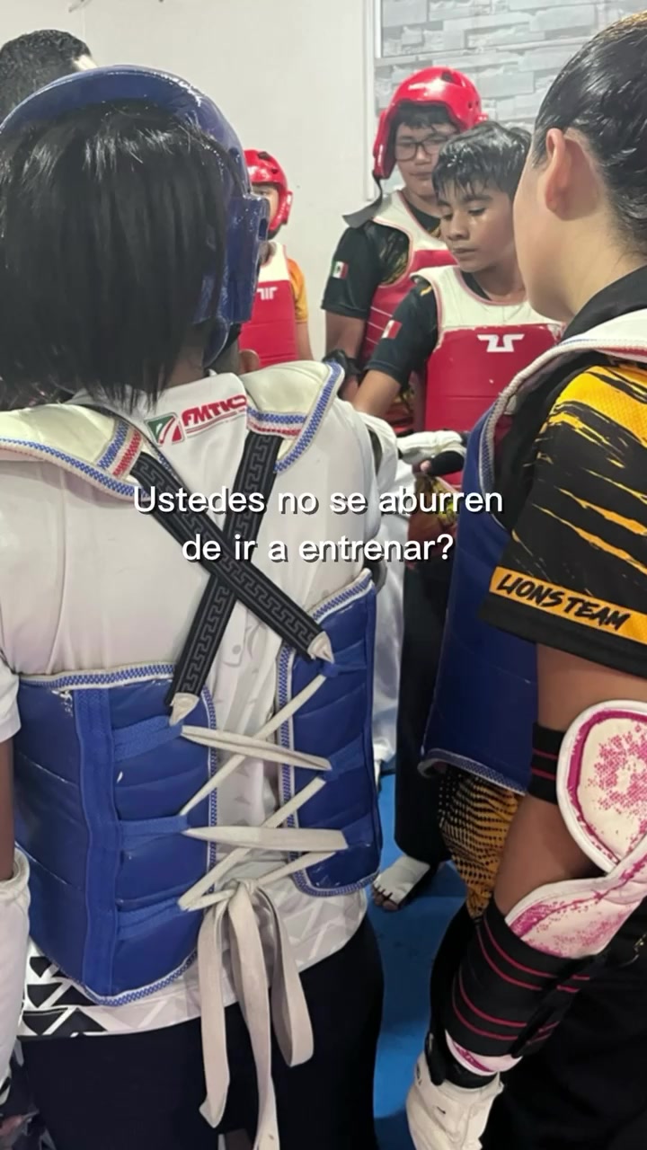 @taekwondolionsteam