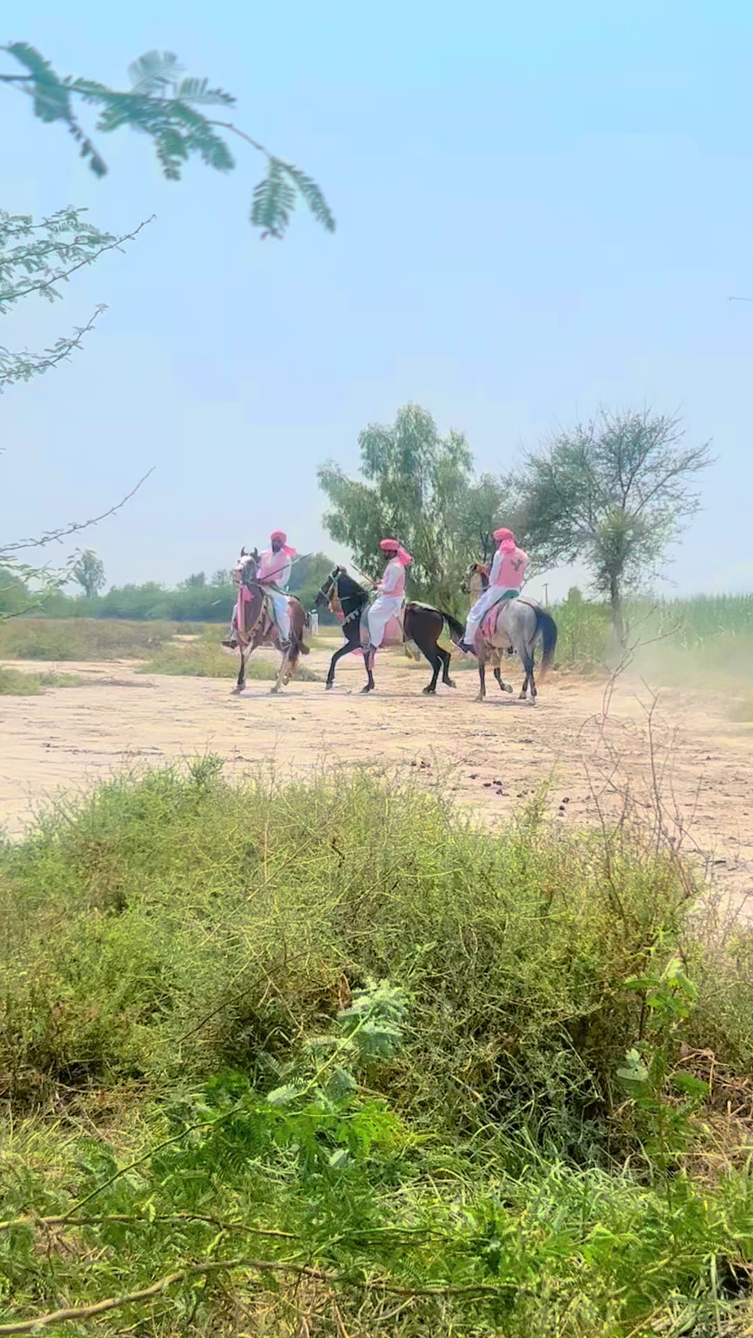 @Rai Asif Hayat khayalika
