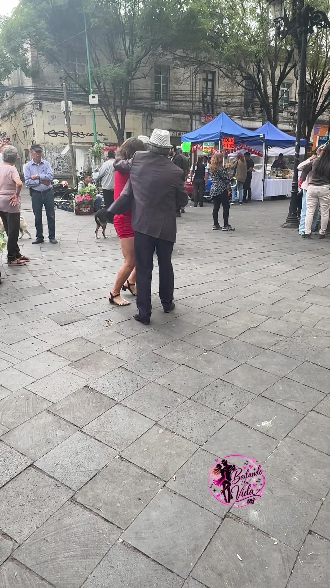 @Bailando la vida