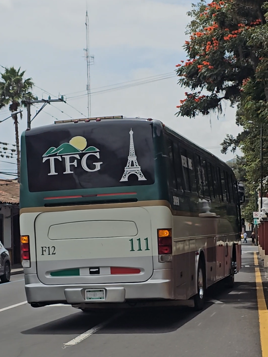 @cheit0:🚎🚎🇲🇽