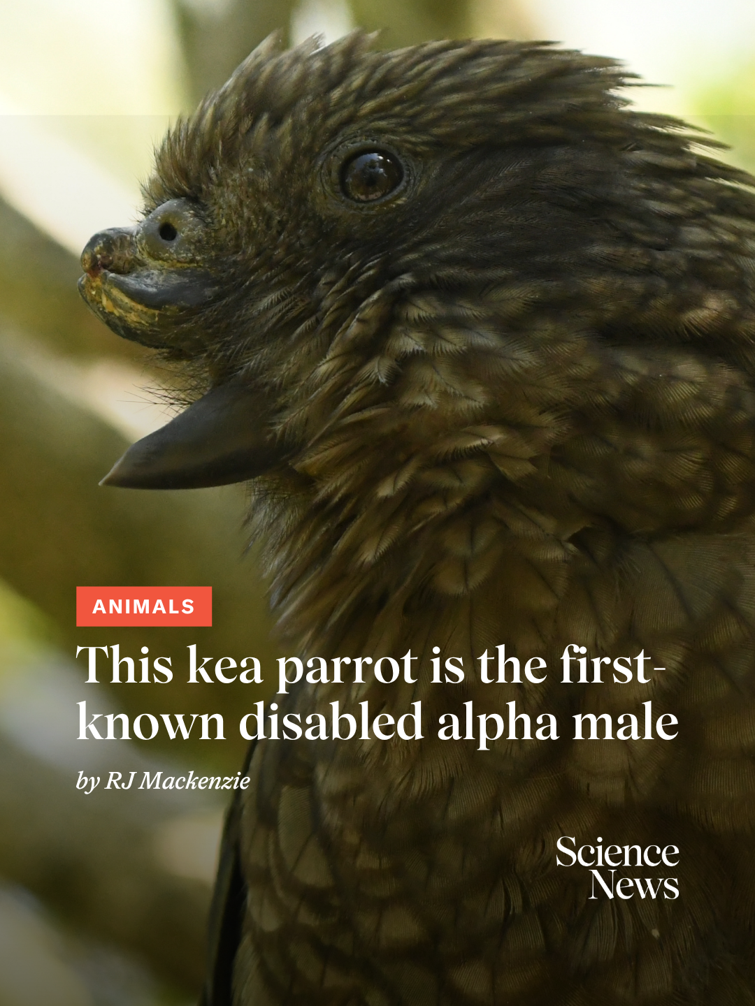 @Science News