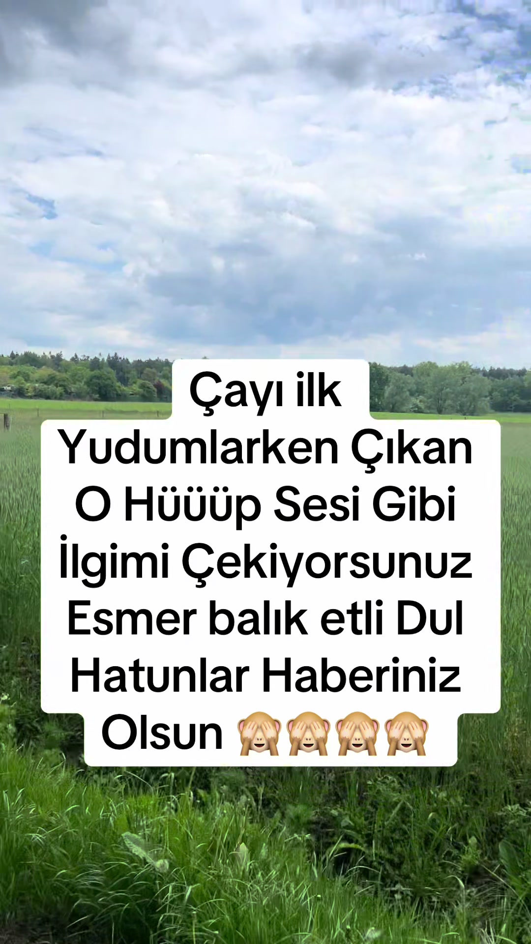 @✌️✌️✌️✌️🇩🇪🇩🇪🇹🇷🇹🇷