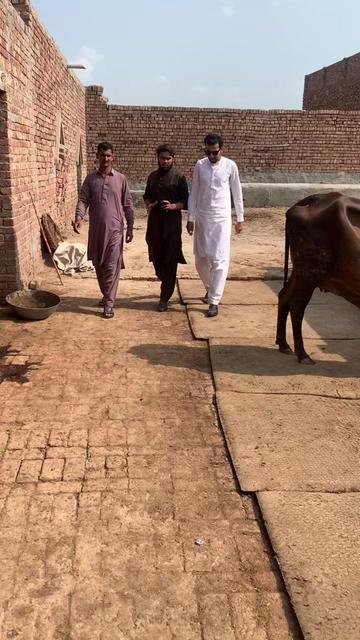 @Adnan Rai 7