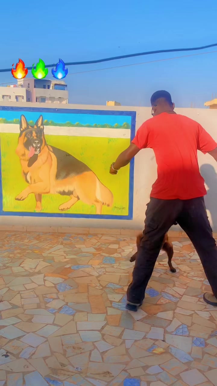 @G.I.C.N 🇸🇳🐾Ma&icirc;tre Weuz🐕&zwj;🦺