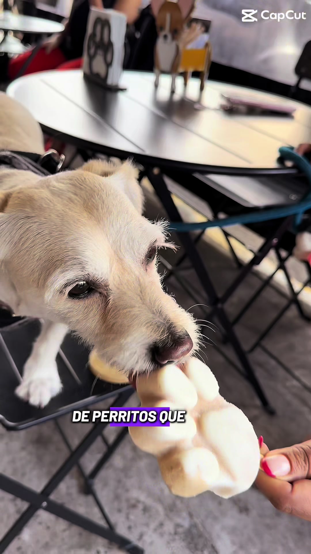@CafesTematicosCDMX