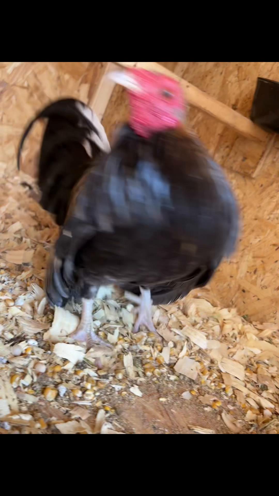 @FARMING.MM56