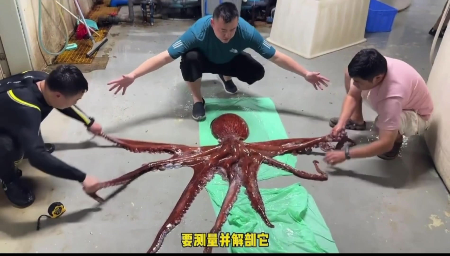 @澳中文传