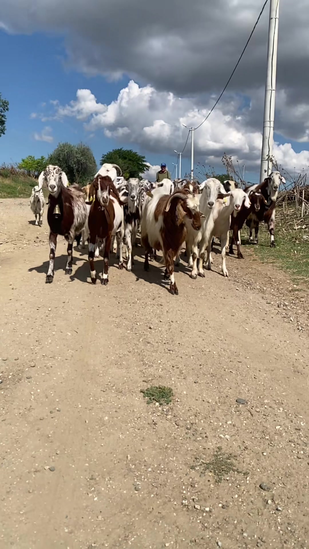 @bırındar3412