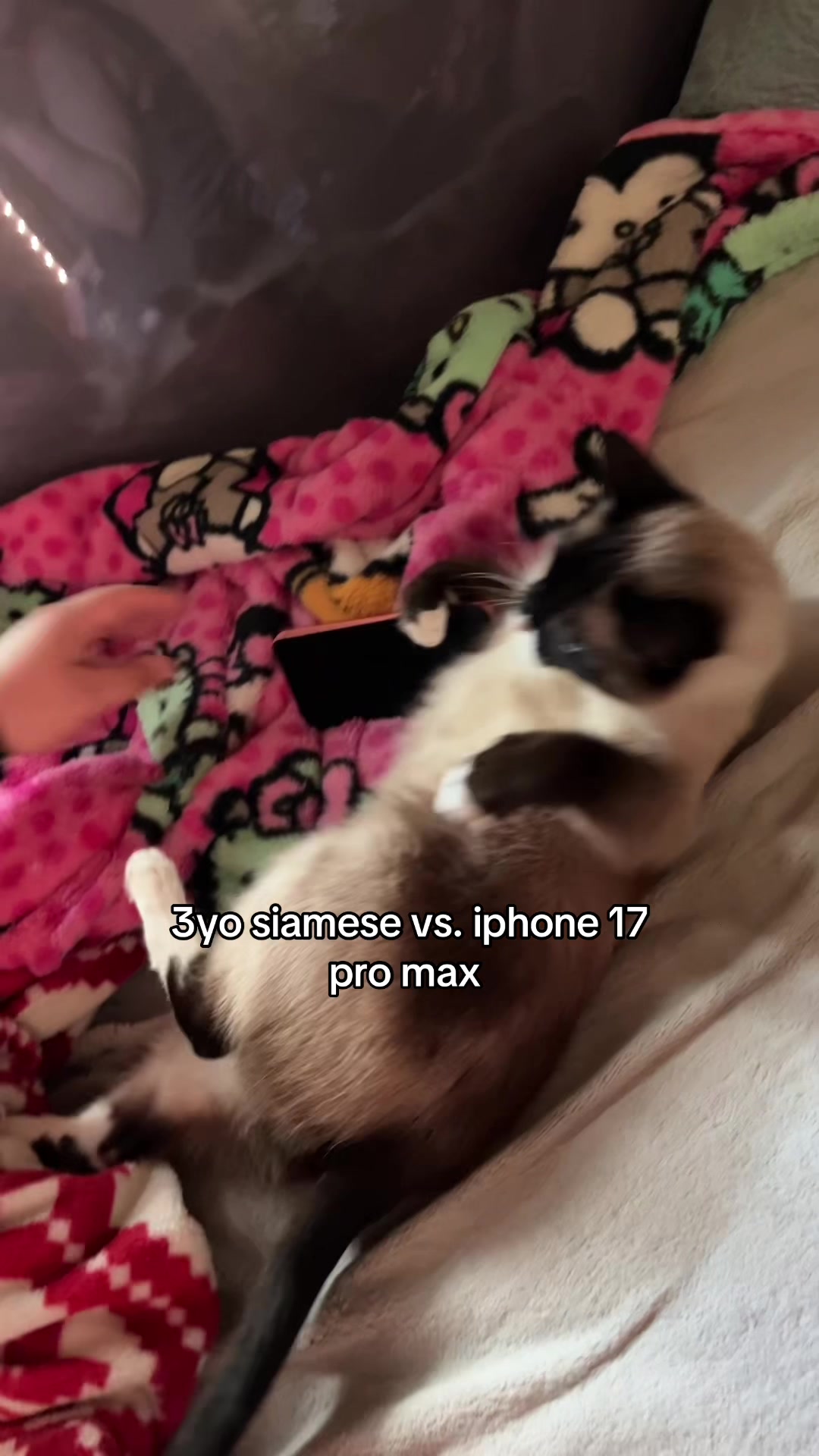@⊱❀⊰