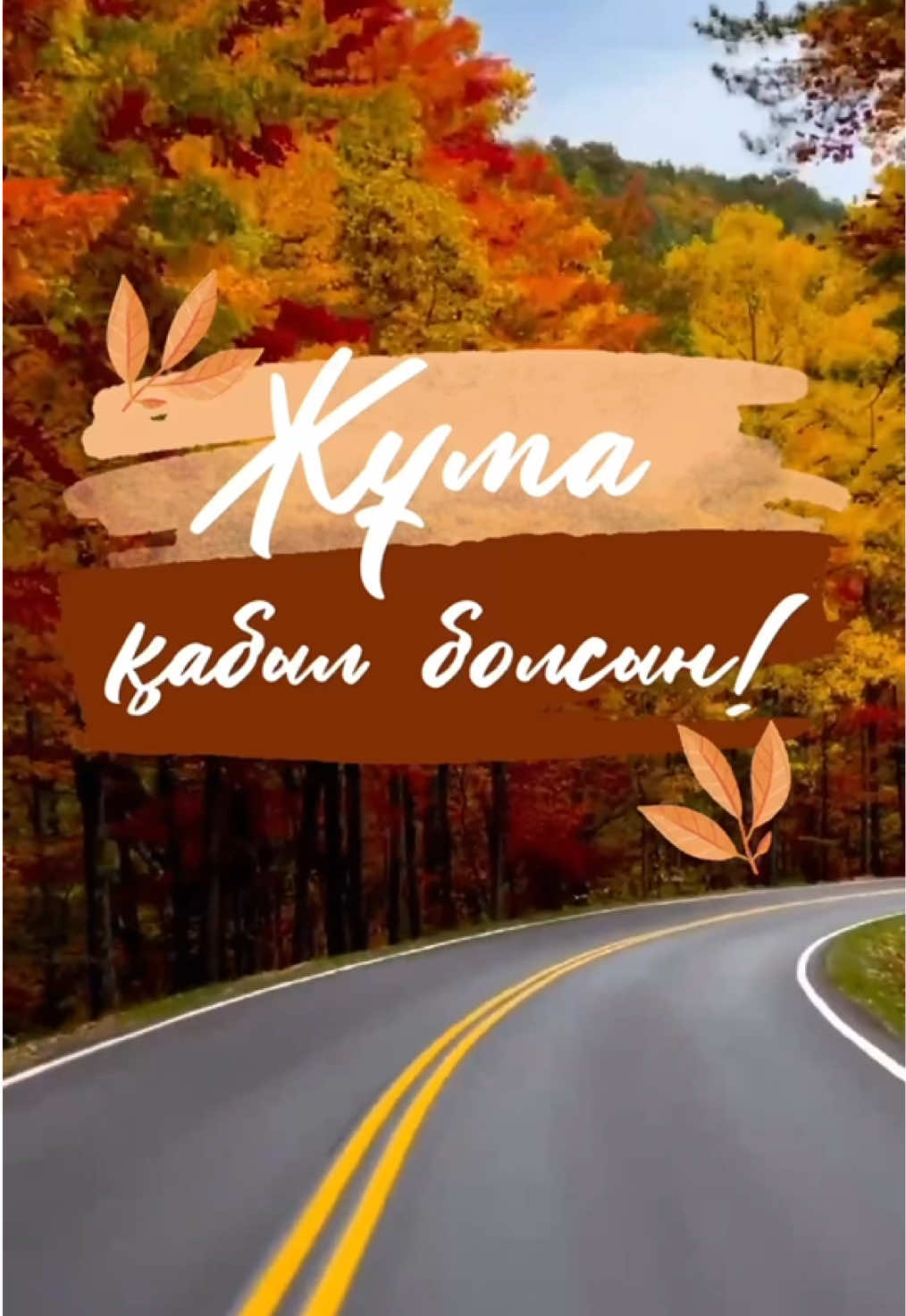 @aray_dinasil