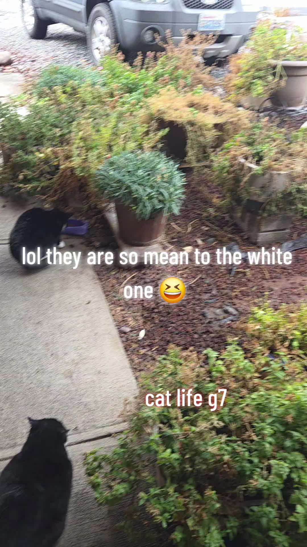 @GersonR