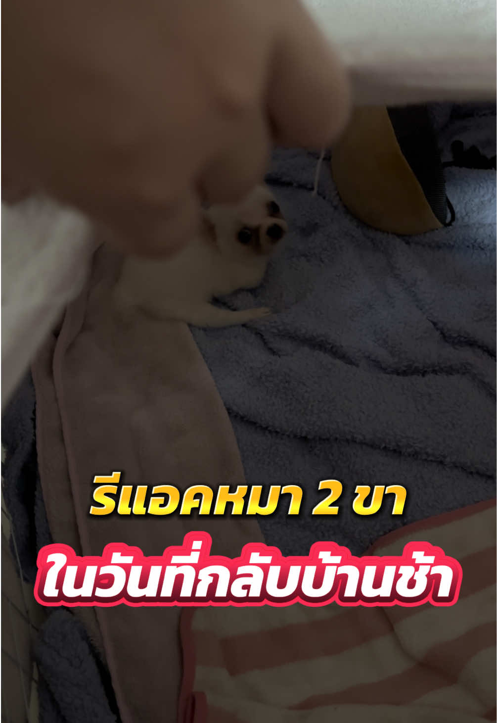 @ผมชื่อเฟิร์บ