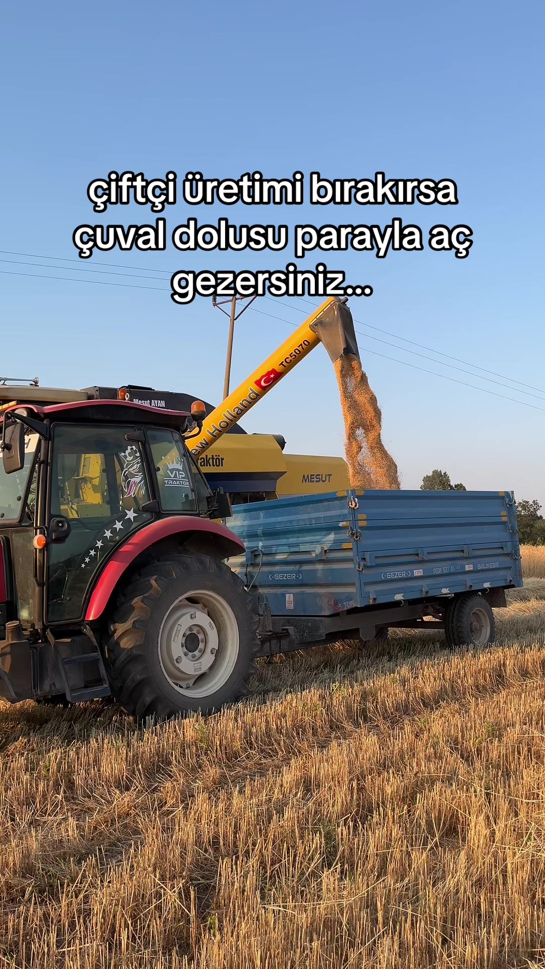 @ŞABAN KOLTKA🕊️