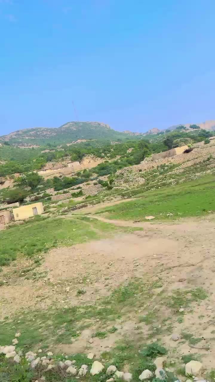 @veer veer