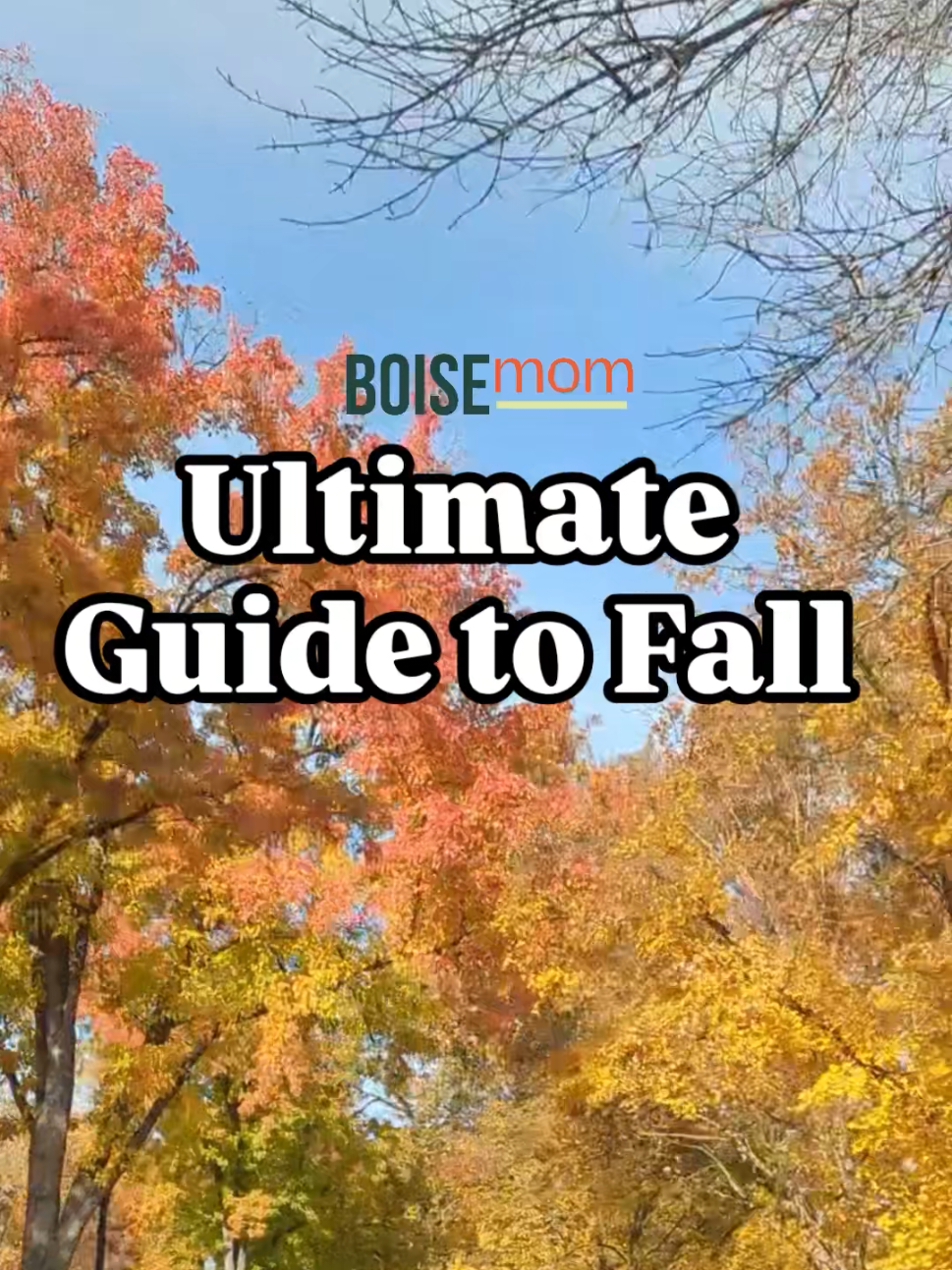 @boisemom