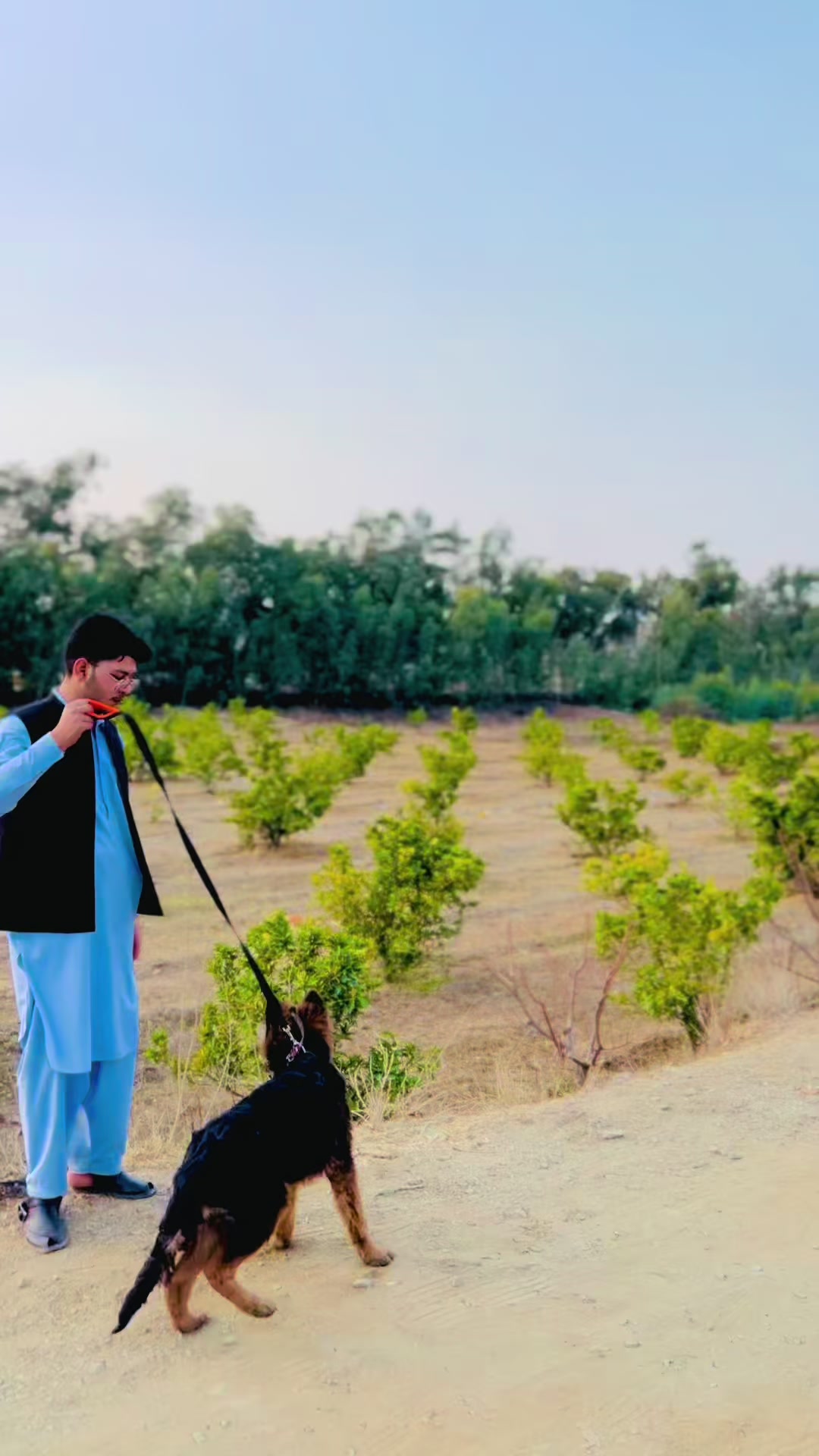 @syedmashalbacha17
