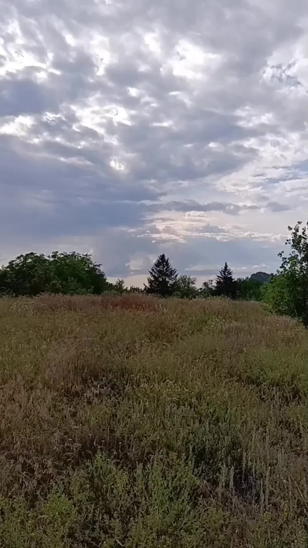 @Взаимная💯💋♥️