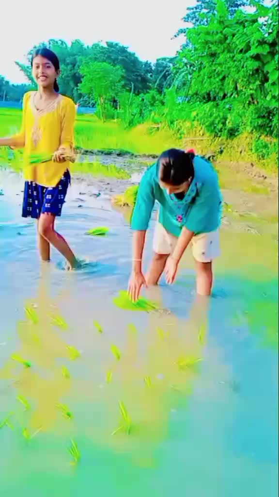 @Nehu mandal 817