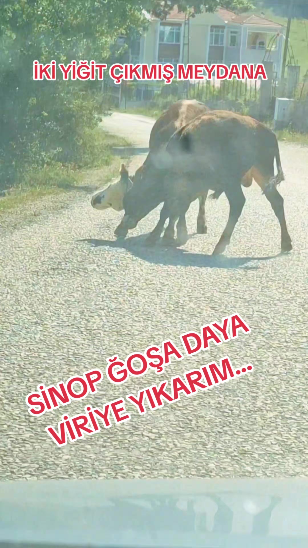 @Efsane HASAN KISA
