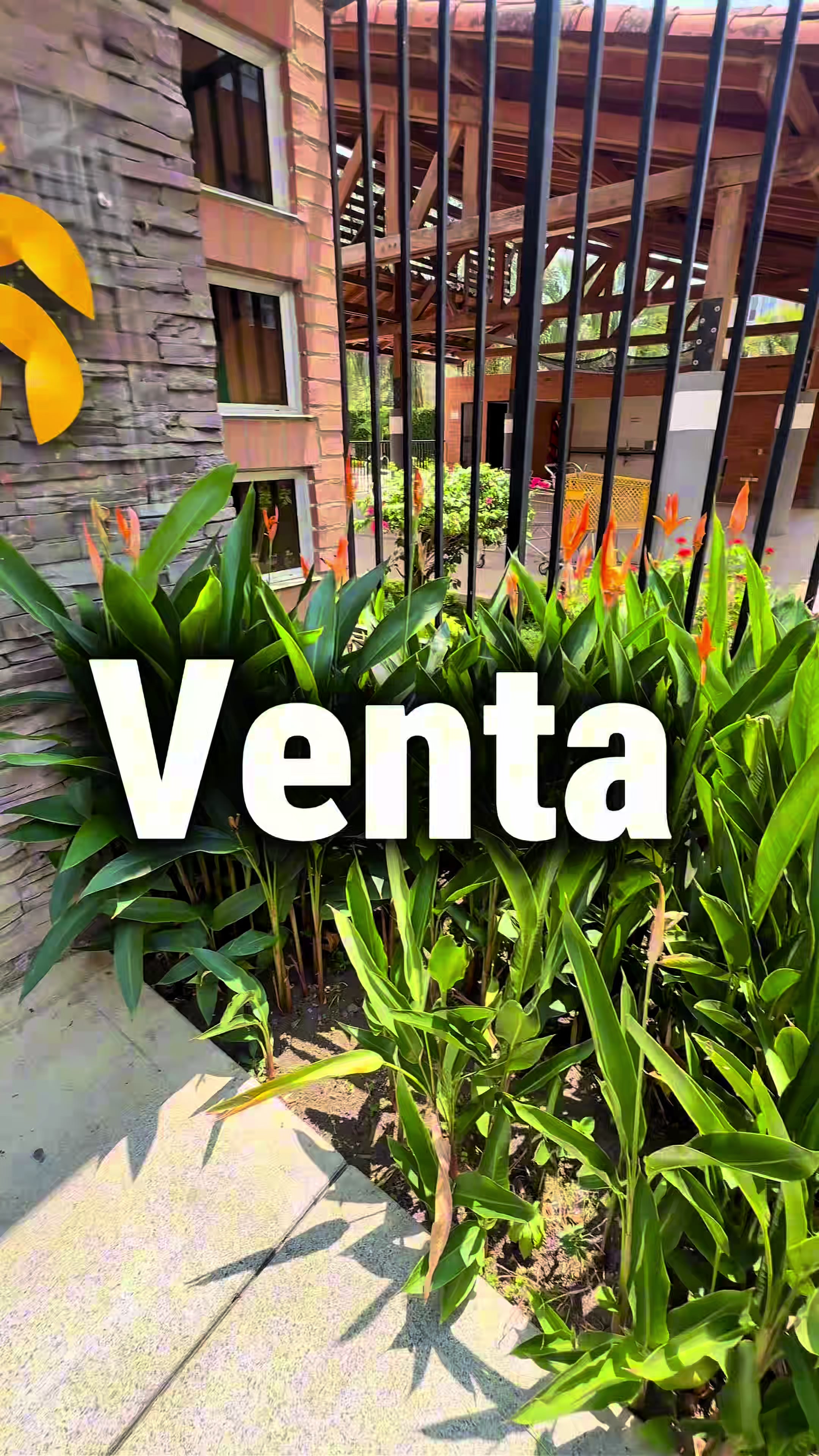 @Renta Inmobiliaria