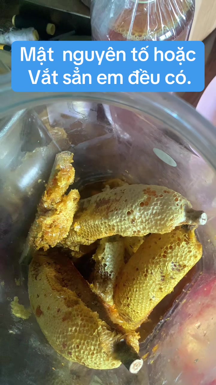 @Mật rừng Tây nguyên Đaklak