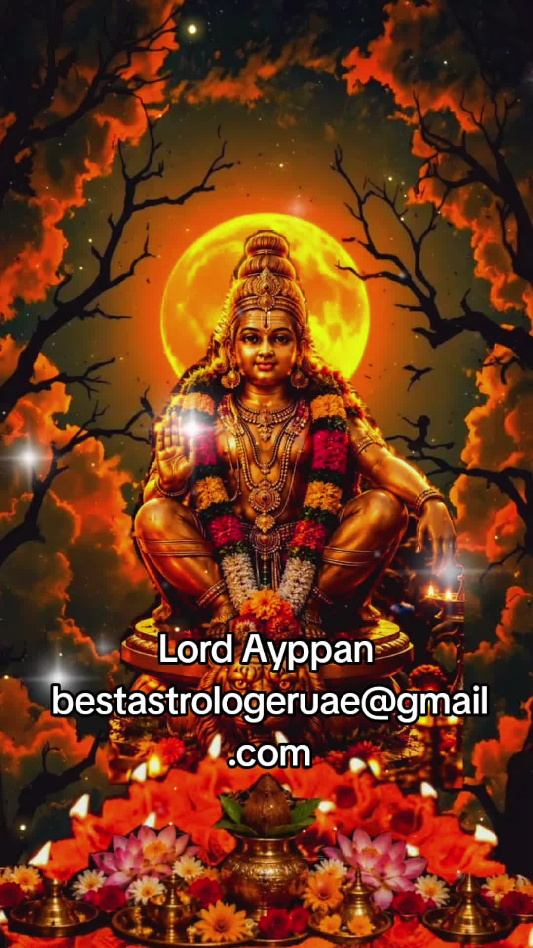 @Bestastrologeruae