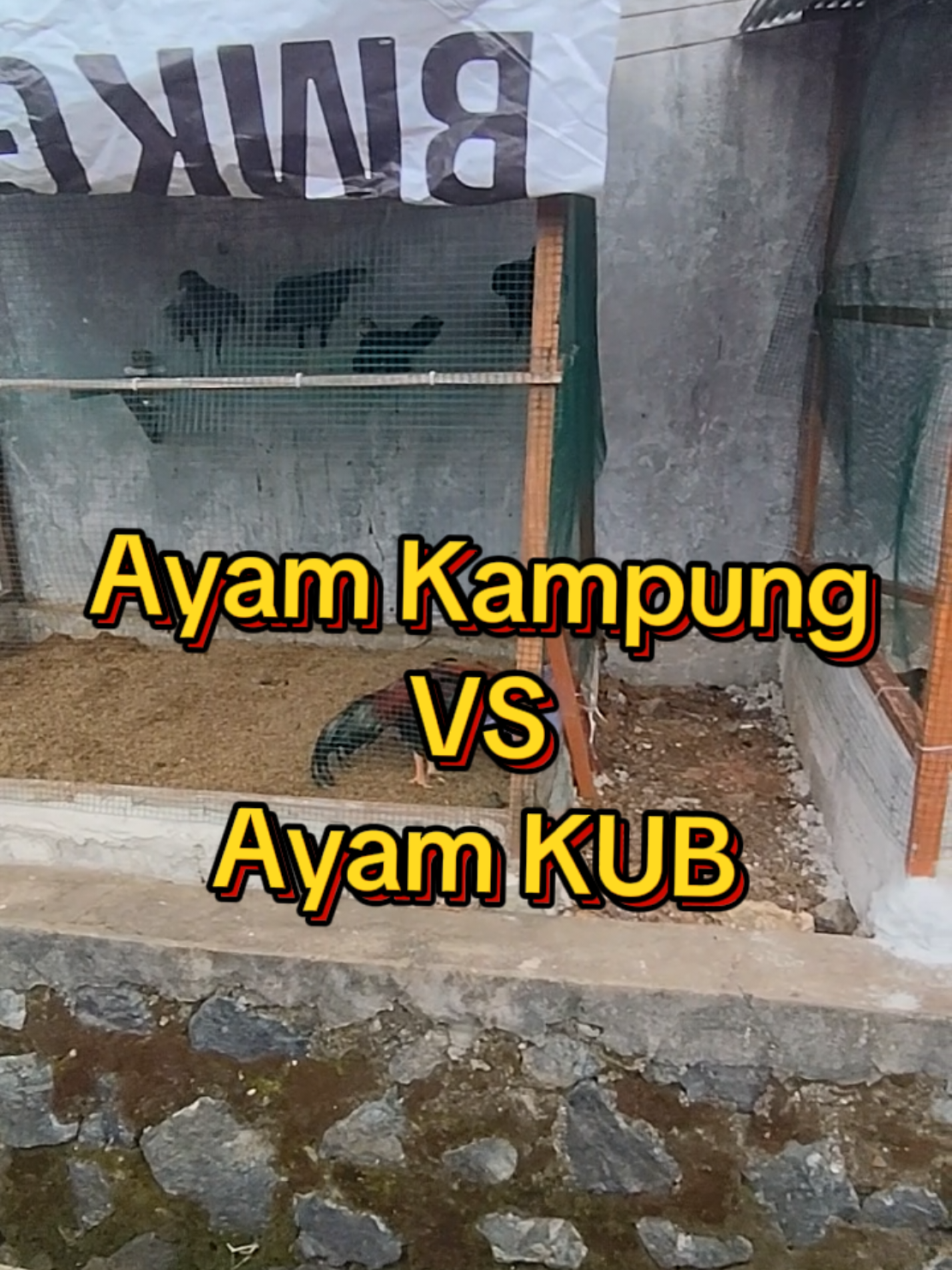 @Prasetya