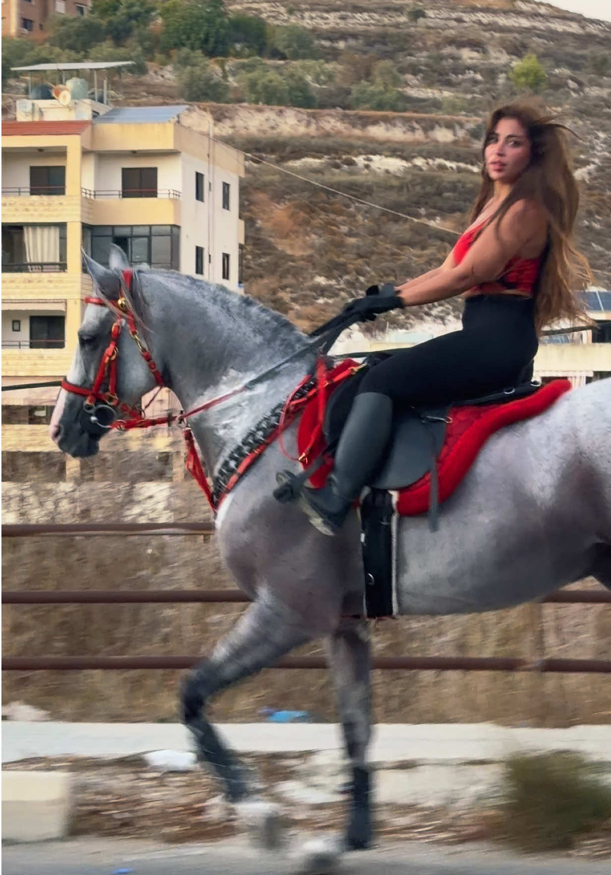 @لــيــن🐎