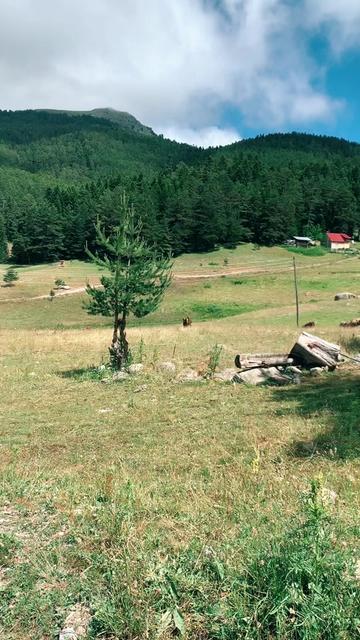 @Doğada yaşam