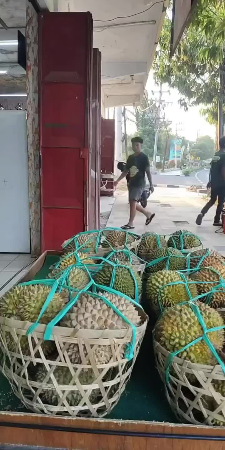 @Kenzhi Durian Tuban